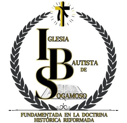 logo-IBS